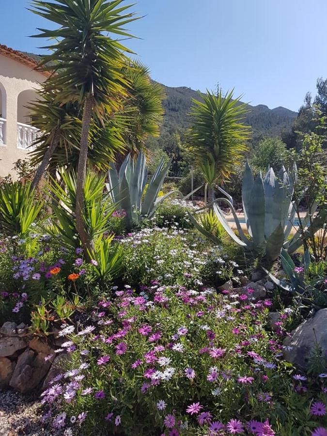 Sueno Grande Hotell Lliber Eksteriør bilde